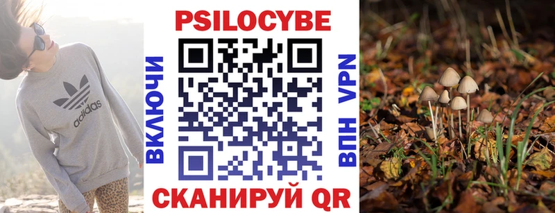 Псилоцибиновые грибы прущие грибы  купить  сайты  Камень-на-Оби 